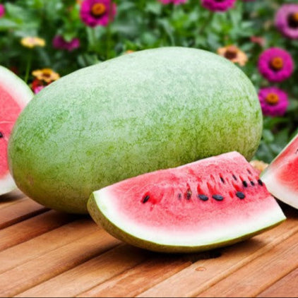 Watermelon 'Charleston Gray'