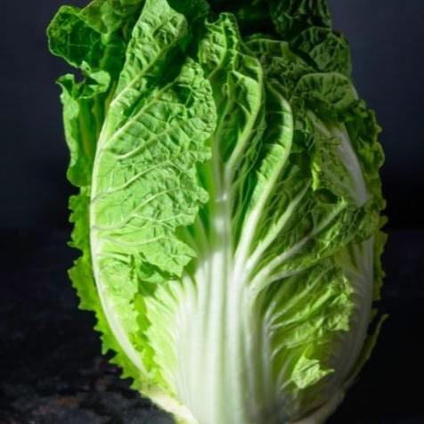 Chinese cabbage 'Wong Bok'