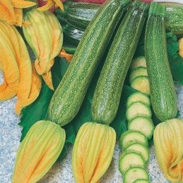 Zucchini 'San Pasquale'