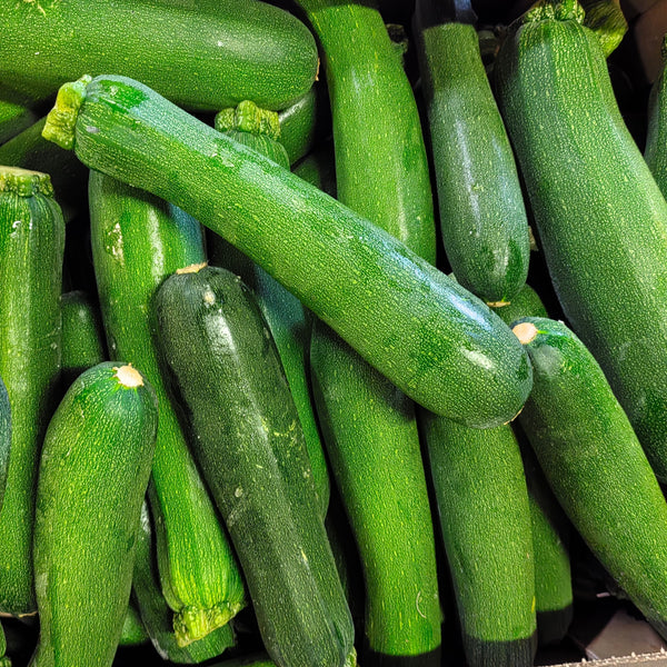 Zucchini 'Green Machine' F1