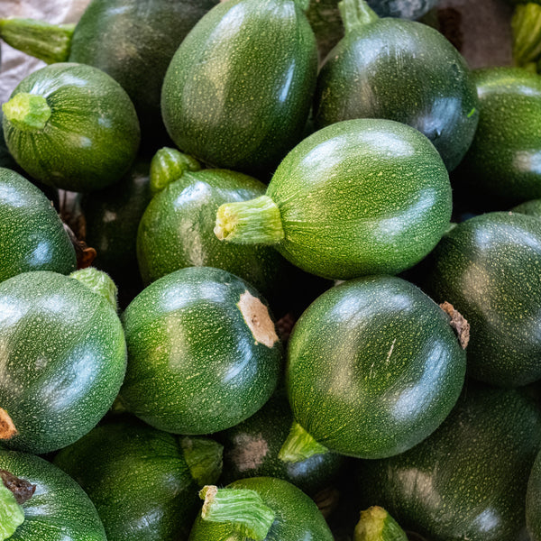 Zucchini rond 'Eight Ball' F1