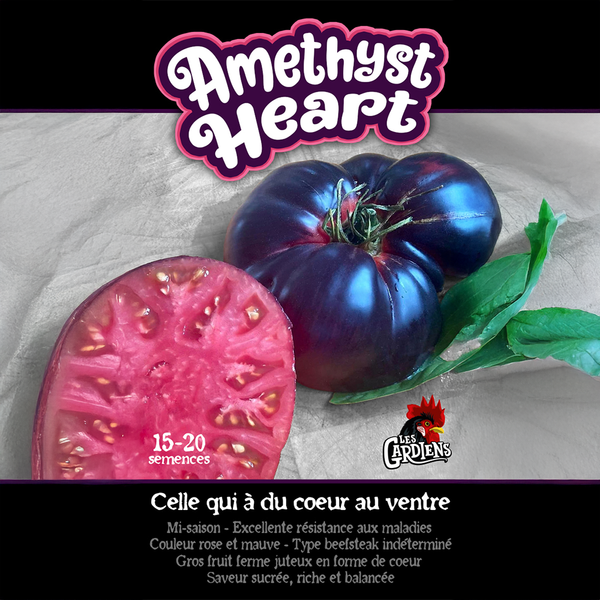 Tomato 'Amethyst Heart'