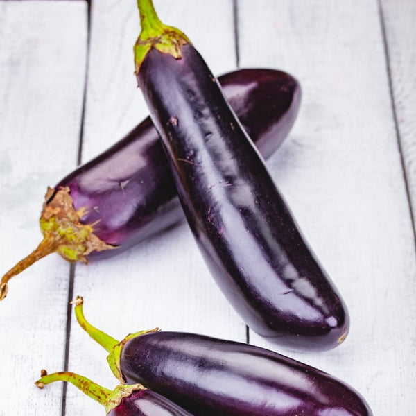 Eggplant 'Charming Rose'