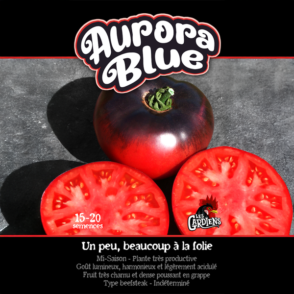 Tomato 'Aurora Blue'