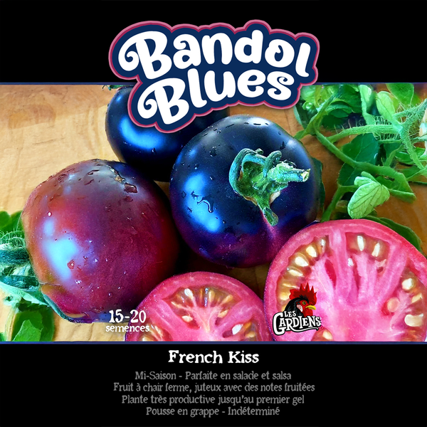 Tomato 'Bandol Blues'