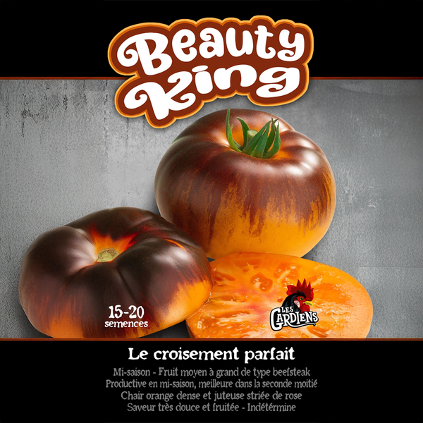 Tomato 'Beauty King'