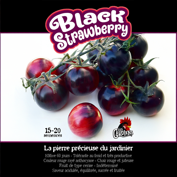 Cherry tomato 'Black Strawberry'