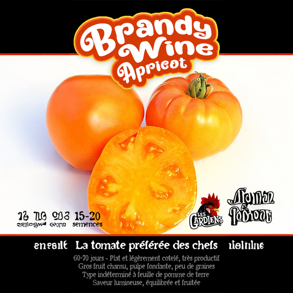 Tomato 'Brandywine Apricot'