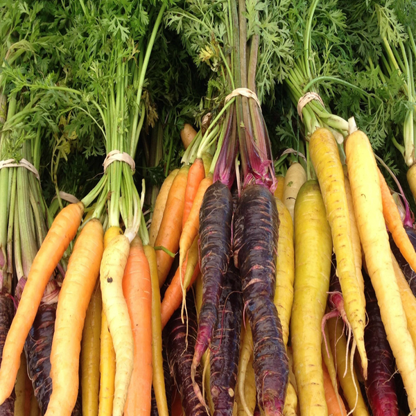 Organic 'Rainbow' Carrot Mix