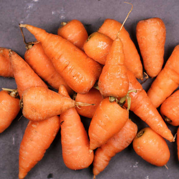 Organic 'Chantenay' carrot