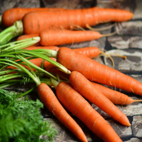 Organic 'Miami' carrot