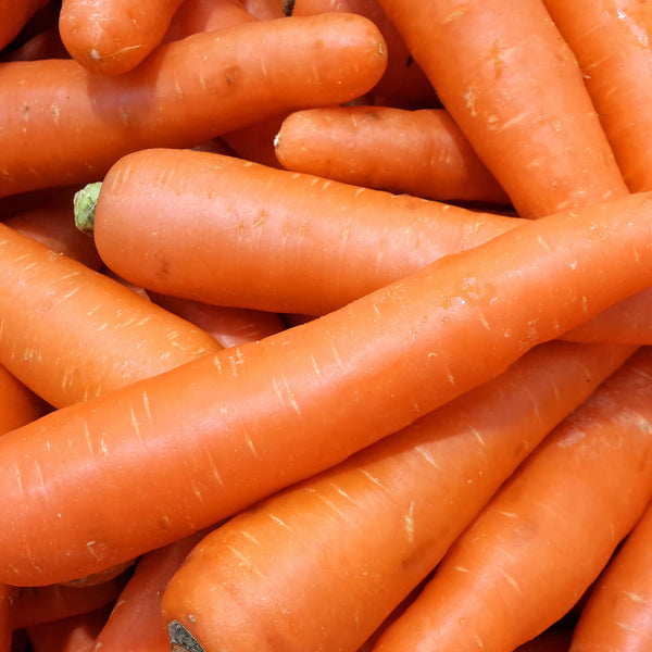 Carrot 'Nantes Improved' organic