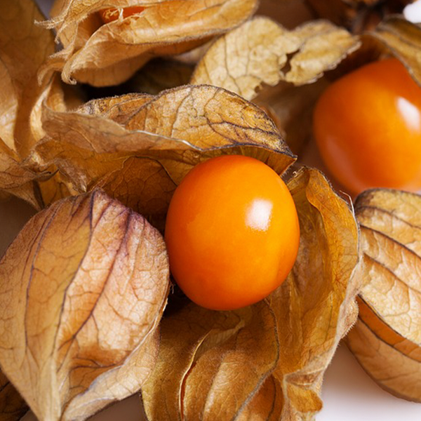 Organic ground cherry