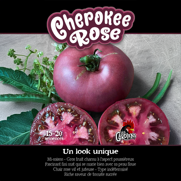 Tomate 'Cherokee Rose'