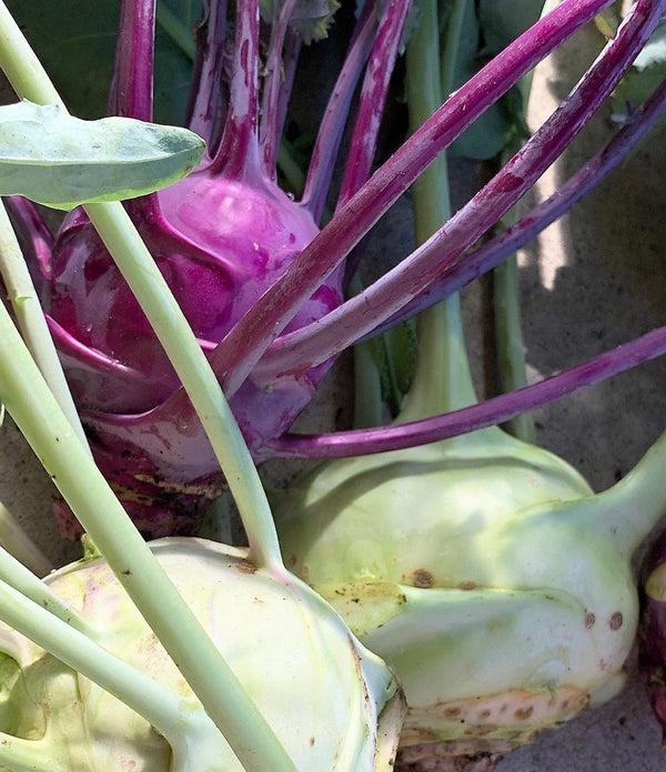 Organic Kohlrabi Mix