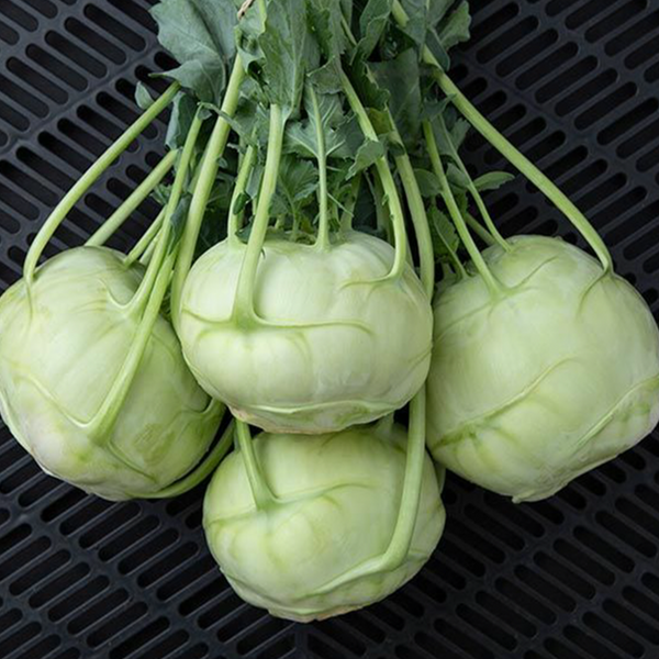 Organic Kohlrabi