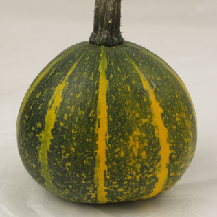 Organic 'Kakai' Pumpkin