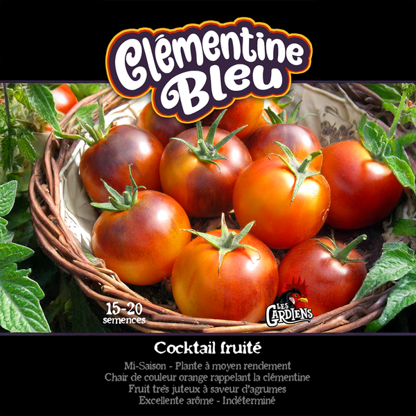 Tomato 'Clementine Bleu'