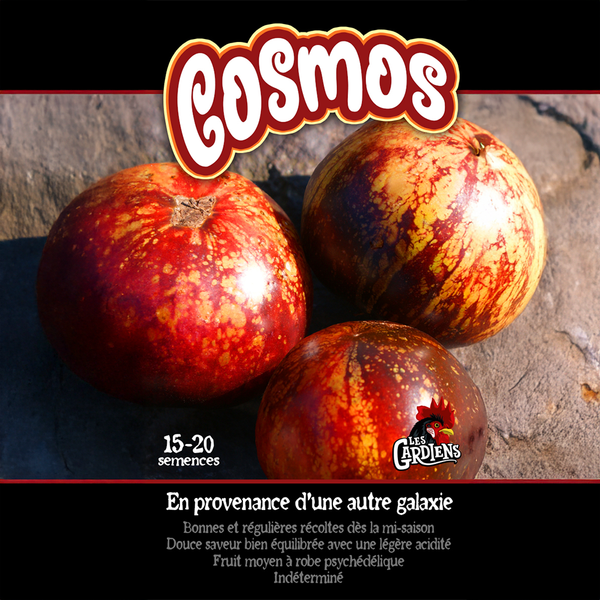 Tomate 'Cosmos'