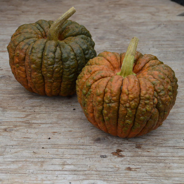 Organic 'Black Futsu' Squash