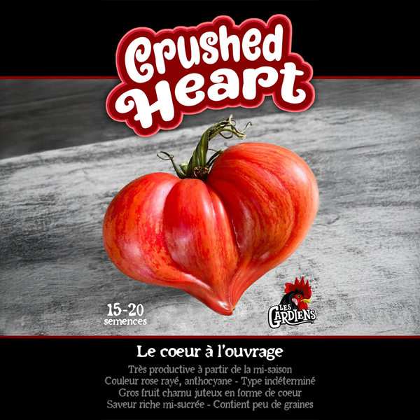 Tomate 'Crushed Heart'