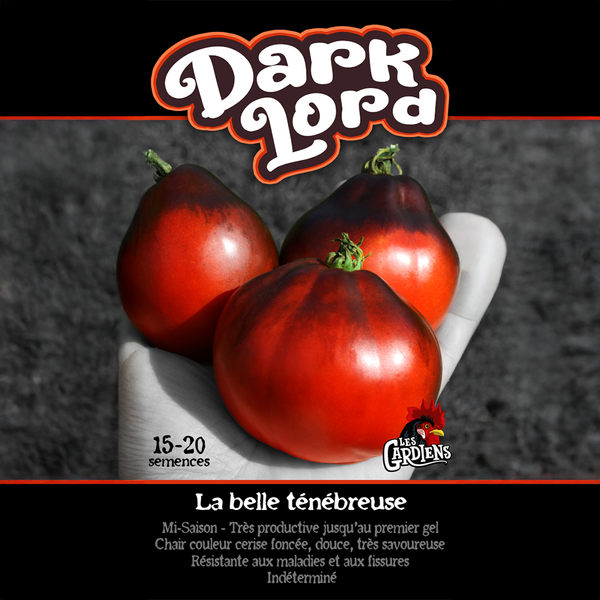 Tomato 'Dark Lord'