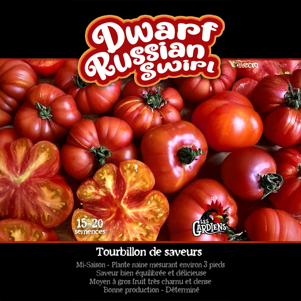 Tomate 'Dwarf Russian Swirl'