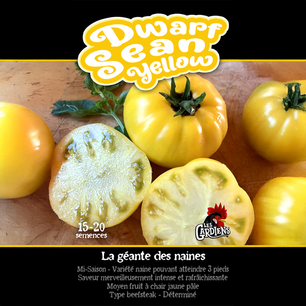 Tomate 'Dwarf Sean Yellow'