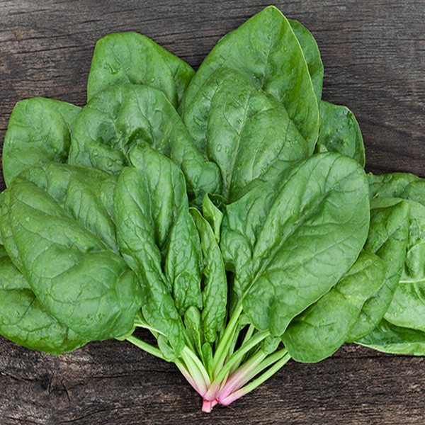 Organic 'Butterflay' Spinach