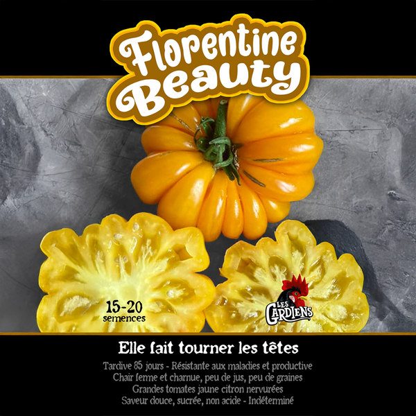 Tomate 'Florentine Beauty'