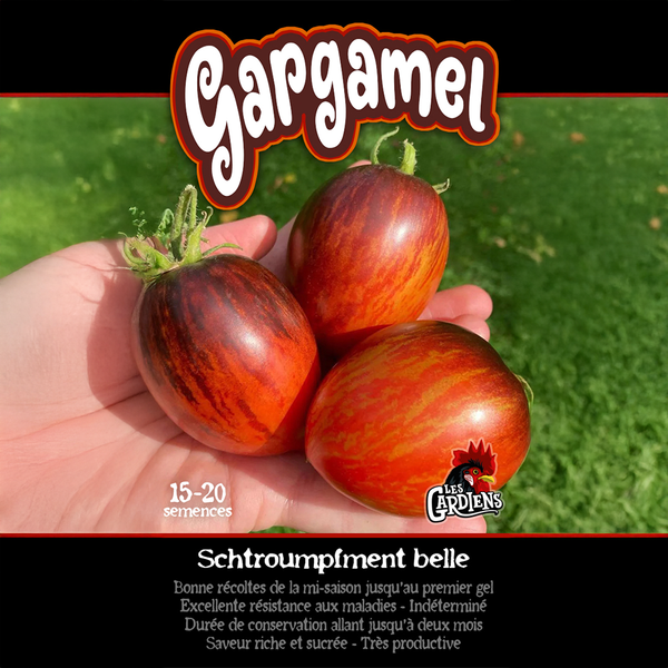 Tomato 'Gargamel'