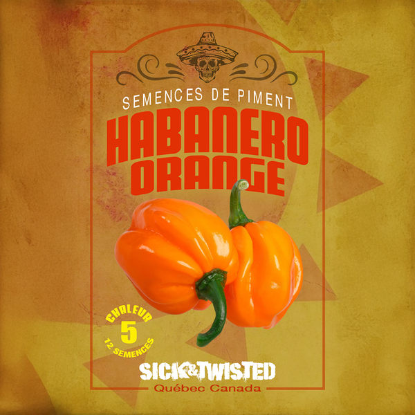 Piment fort 'Habanero Orange'