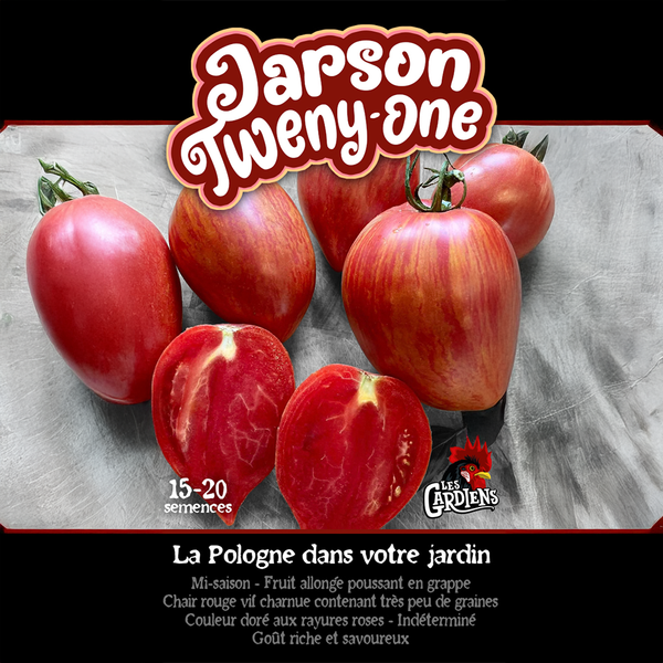 Tomato 'Jarson Twenty One'