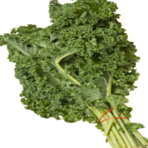 Organic 'Dwarf Green Curled' Kale