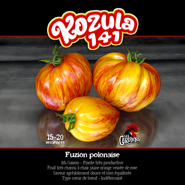 Tomate 'Kozula 141'