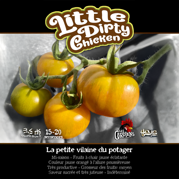 Tomato 'Little Dirty Chicken'