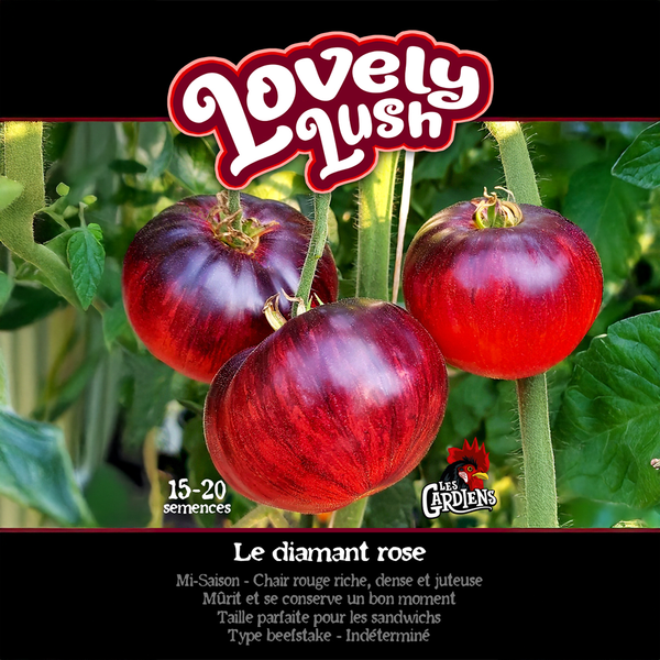 Tomate 'Lovely Lush'