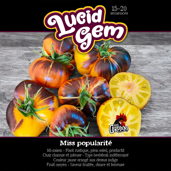 Tomato 'Lucid Gem'