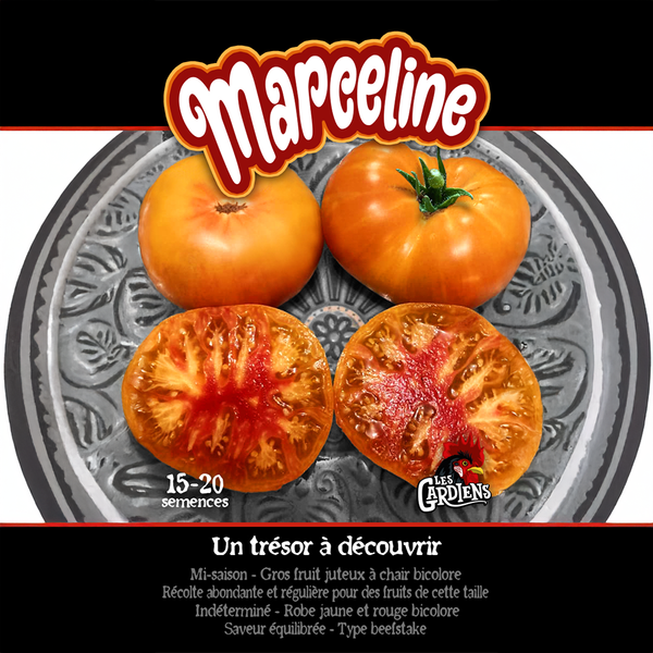 Tomate 'Marceline'