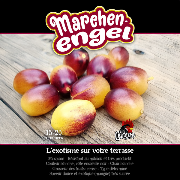 Tomato 'Marchen Engel'