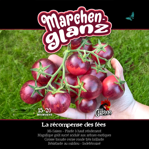 Tomate 'Marchen-Glanz'