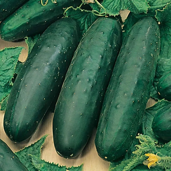 Cucumber Marketer