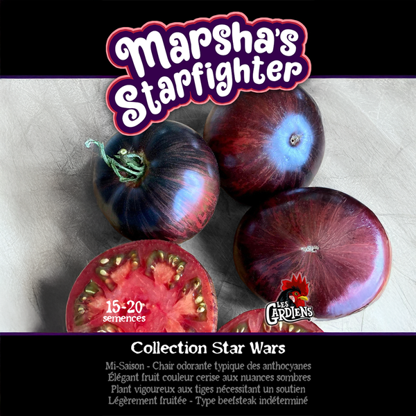 Tomato 'Marsha's Starfighter'