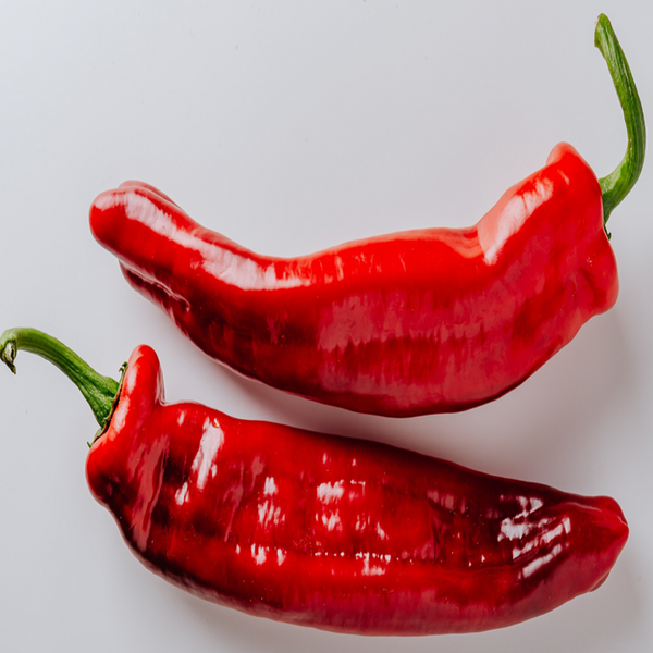 Organic 'Aleppo' hot pepper