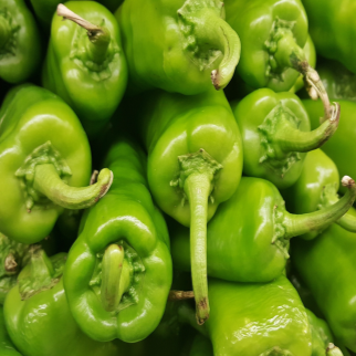 Organic 'Anaheim' hot pepper