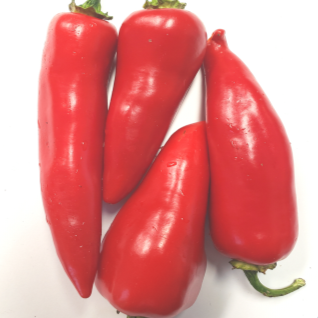 Organic 'Kalugaritsa' hot pepper