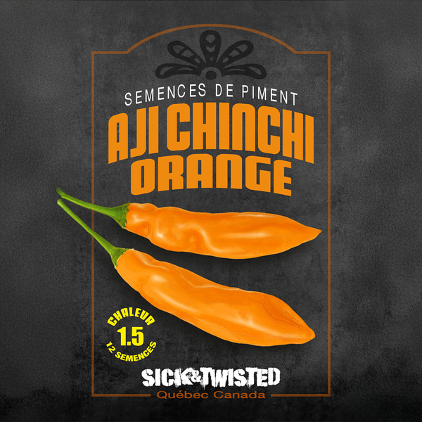 Hot pepper 'Aji Chinchi Orange'