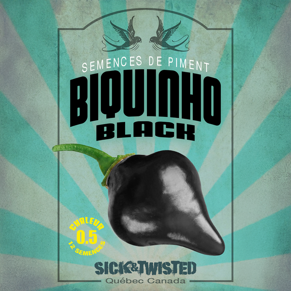 Hot pepper 'Biquinho Black'