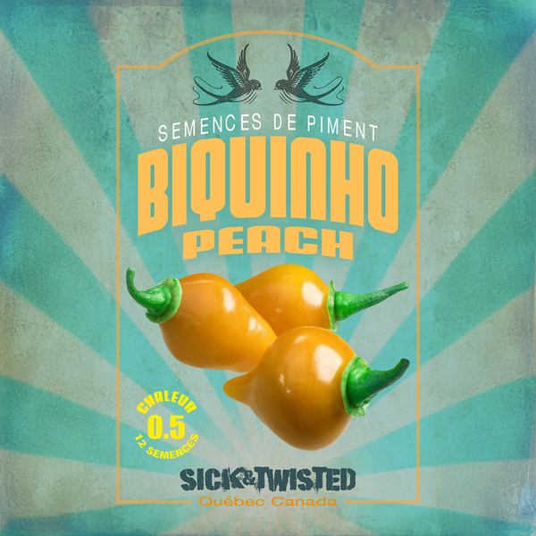 Piment fort 'Biquinho Peach'