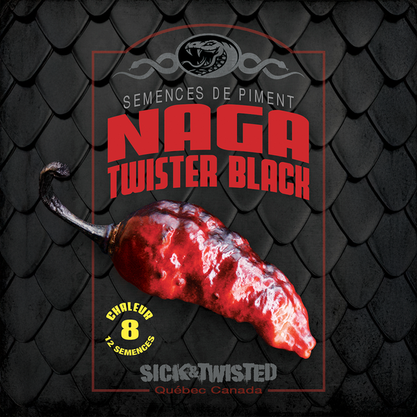 Hot pepper 'Naga Twister Black'